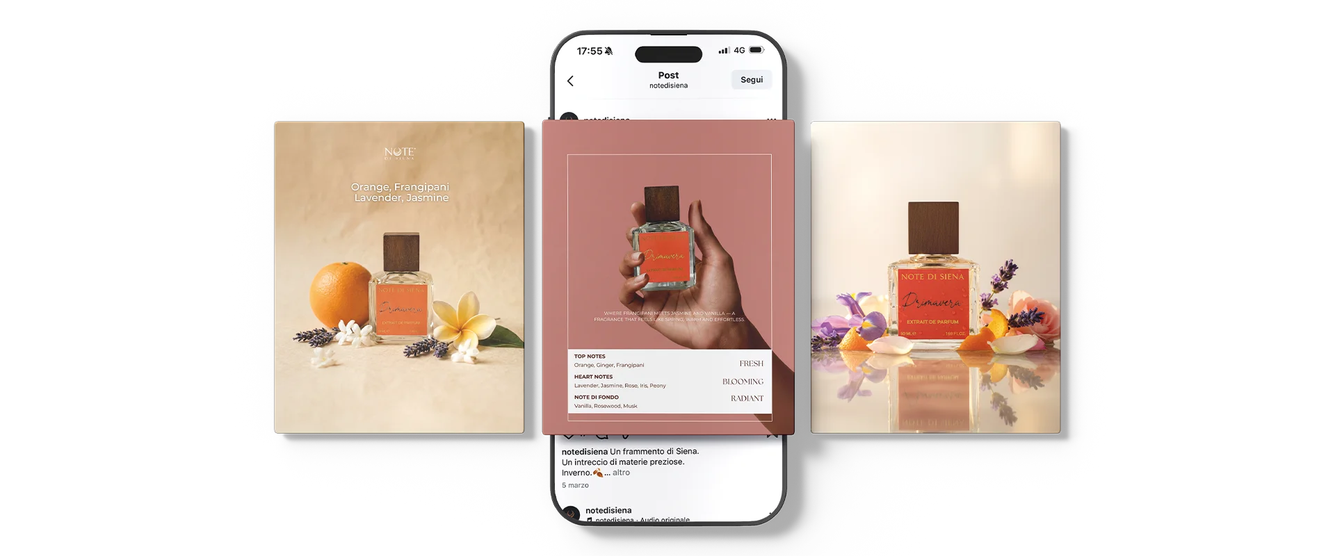 ads post note di siena portfolio