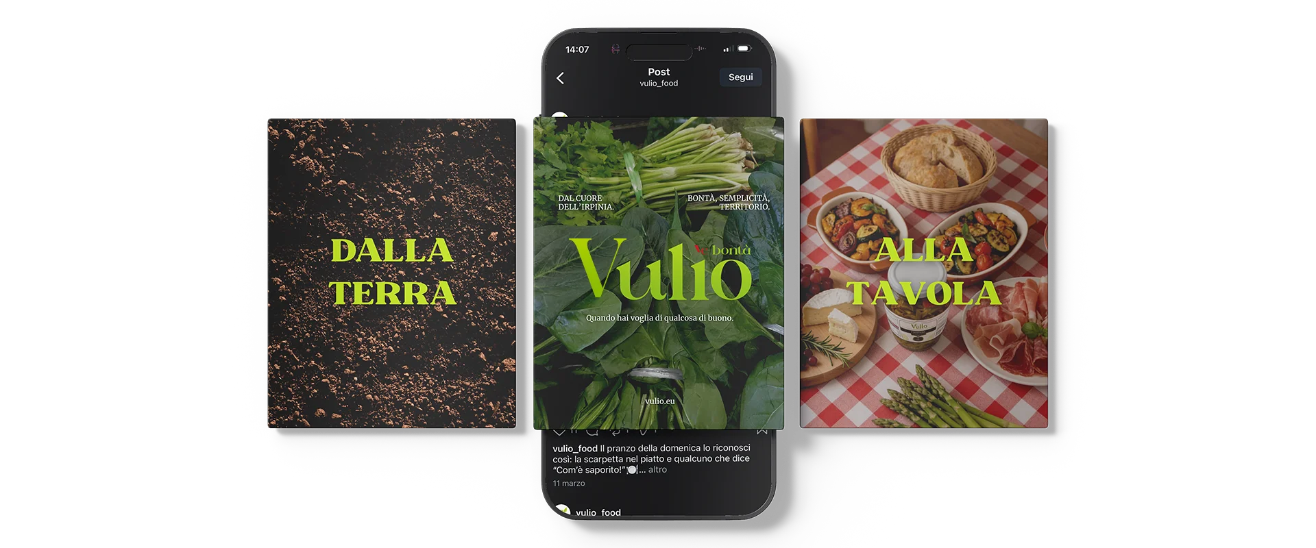portfolio post social vulio