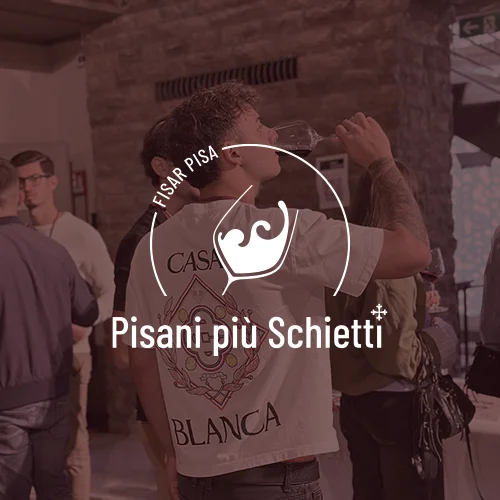 portfolio progetto pisani piu schietti
