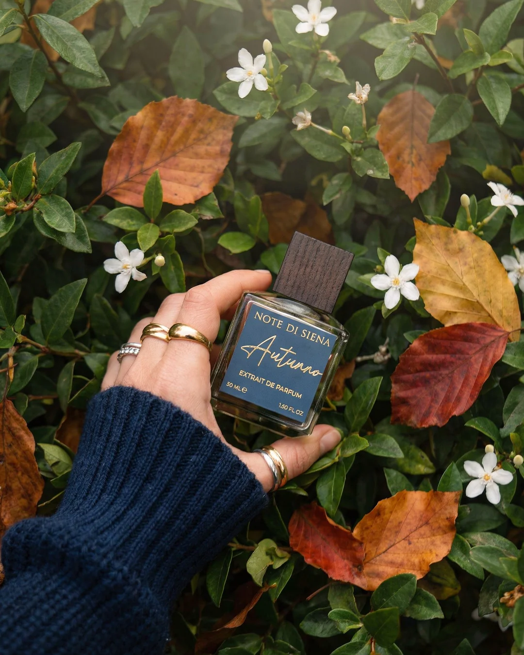 profumo contenuto note di siena portfolio