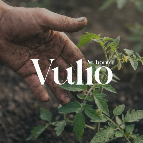 vulio portfolio copertina