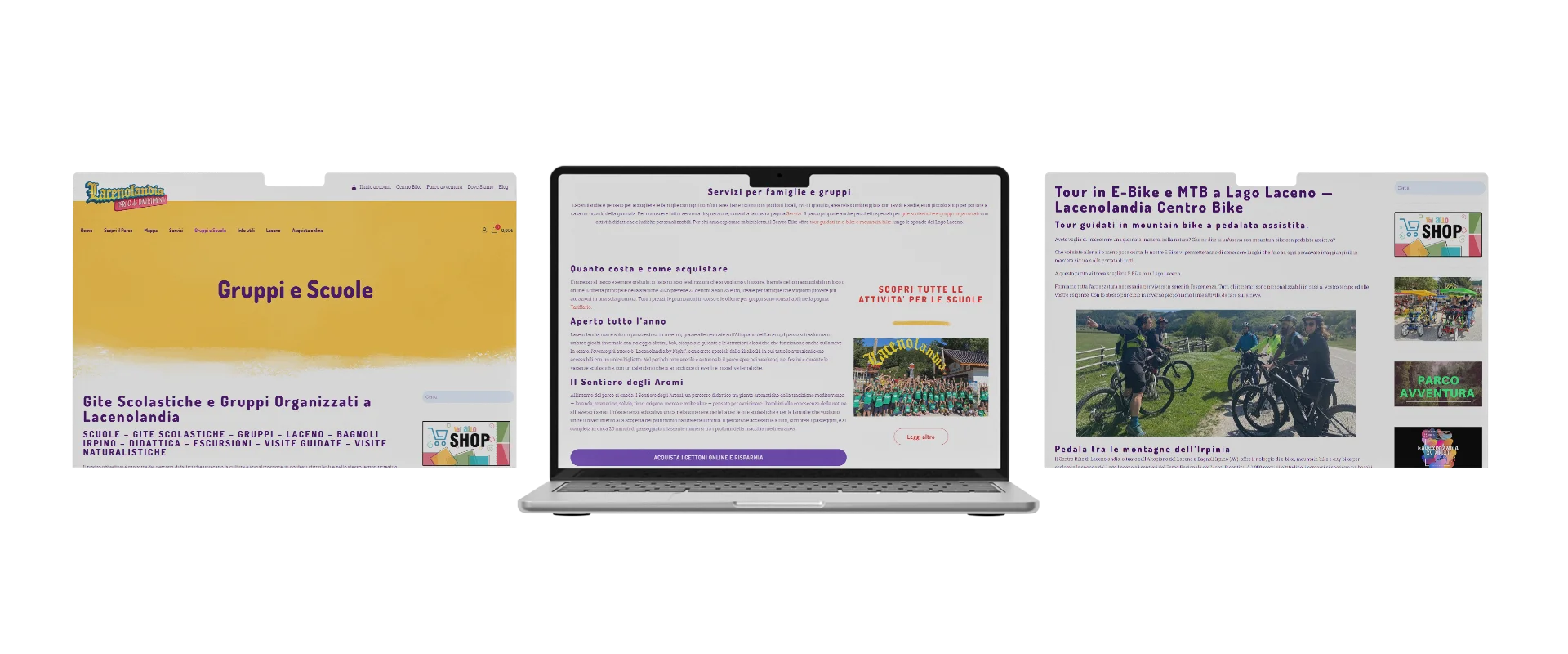 ottimizzazione seo lacenolandia portfolio